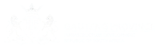 gauteng-infrustructure-logo-white